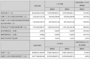 宁德时代上半年业绩亮眼 净利21.02亿，动力电池系统销售收入达168.92亿